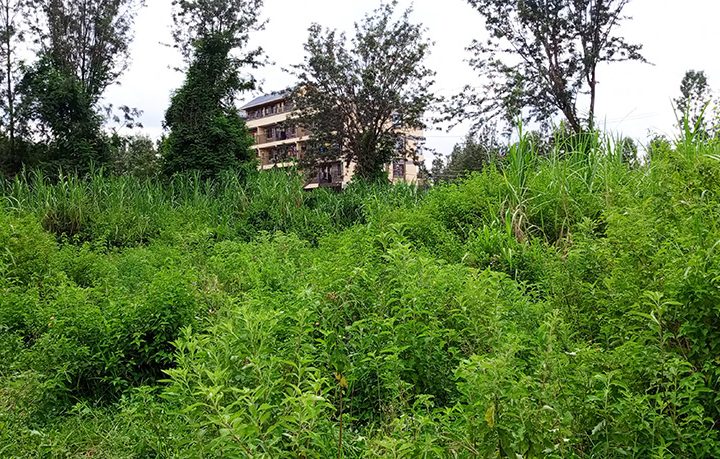 Vacant Commercial Plots for Sale in Thindigua Image