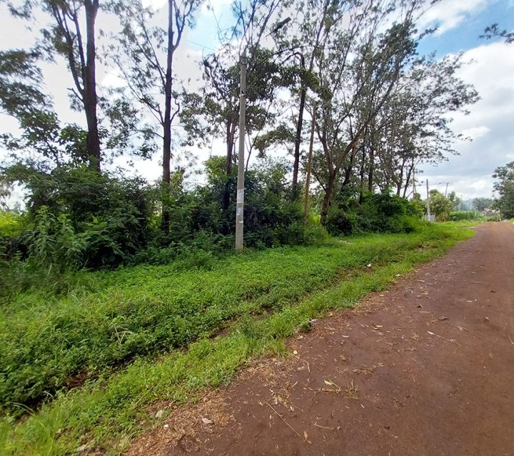 Vacant Commercial Plots for Sale in Thindigua