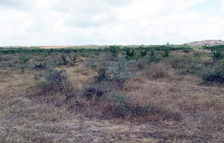 Vacant Land for Sale in Kinanie, Ngelani City