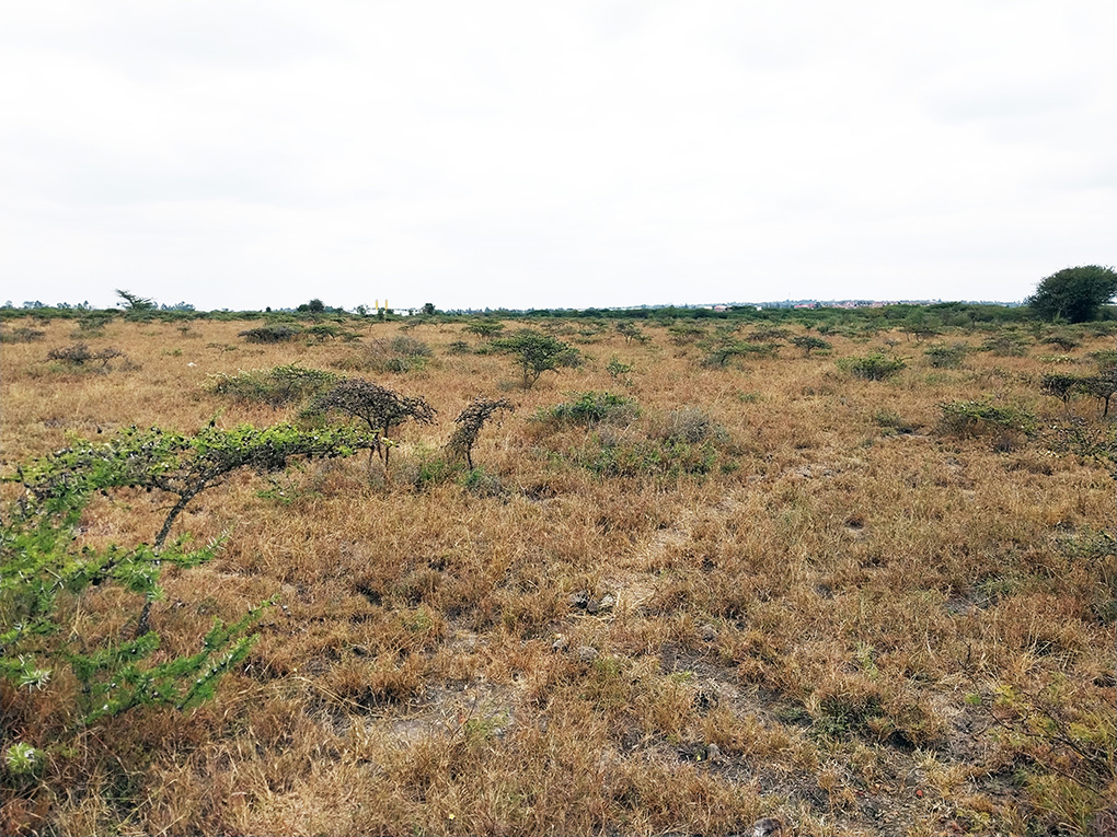 Vacant Plot for Sale at Kimalat, Kitengela Image