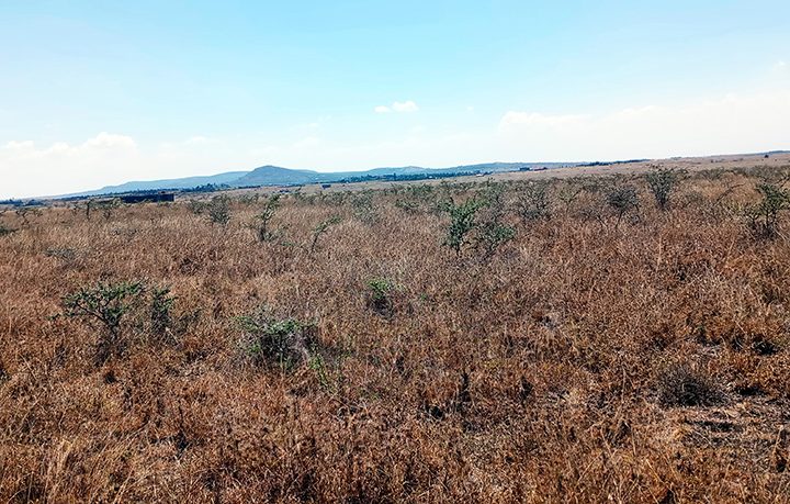Vacant Plots for Sale in Joska Image