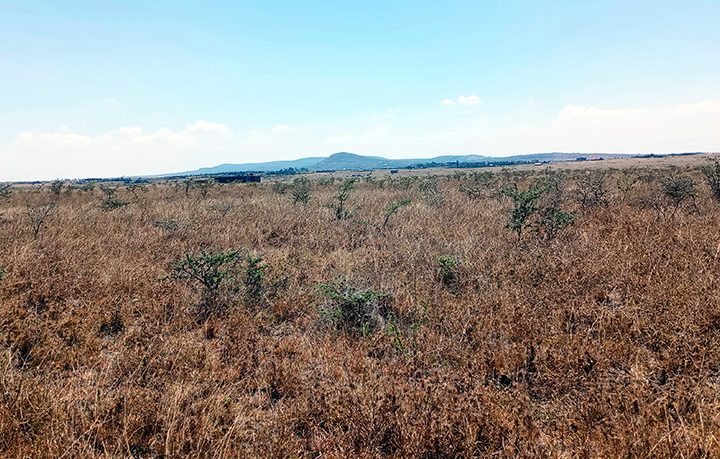 Vacant Plots for Sale in Joska