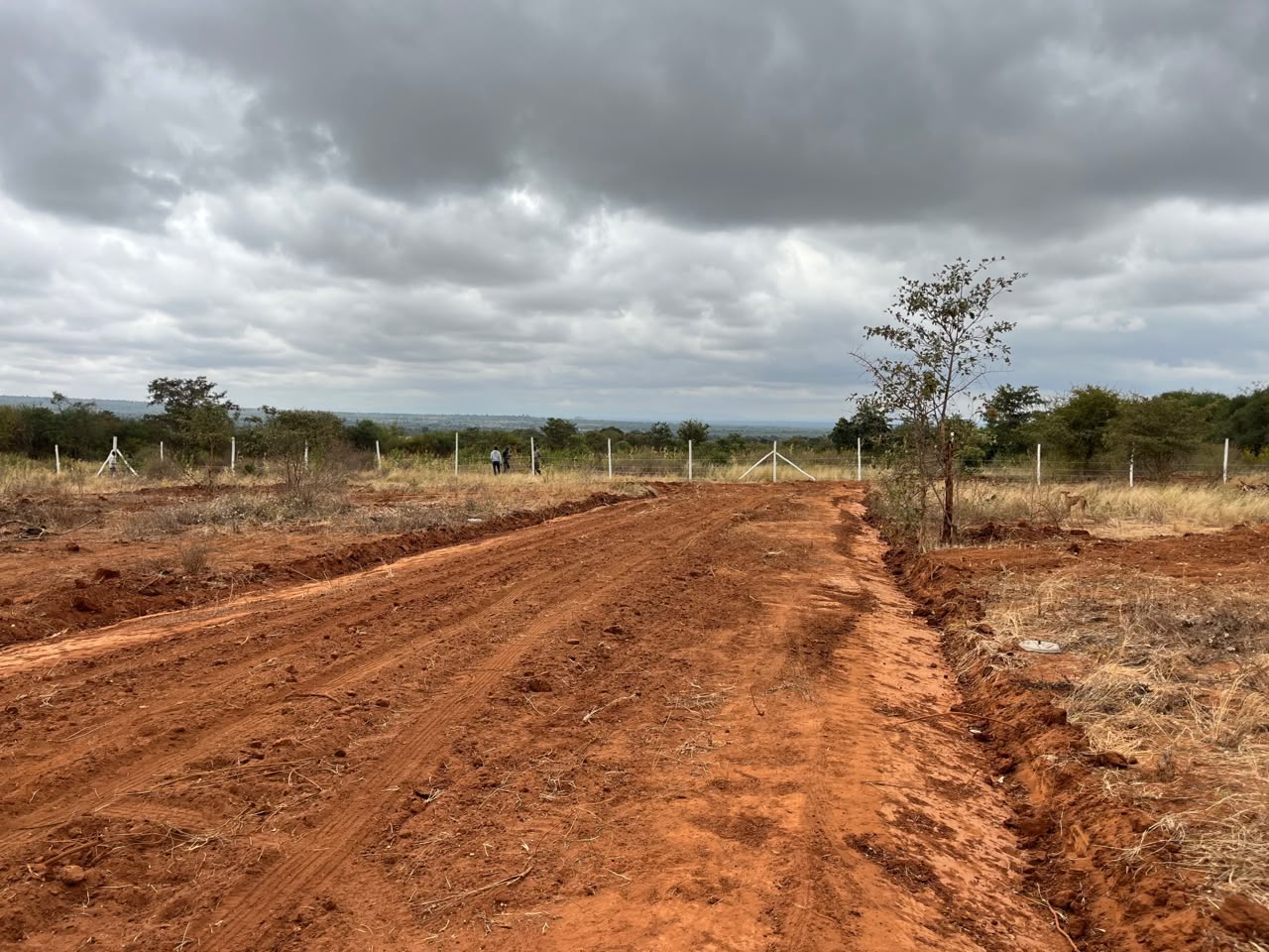 Affordable 50x100 plots for sale at Victory Gardens in the heart of Matuu,
