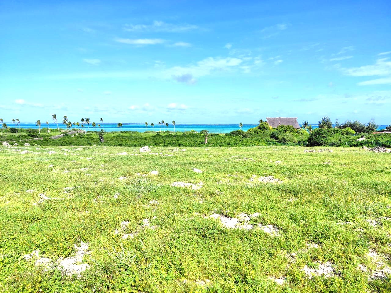 Watamu beach plots for sale