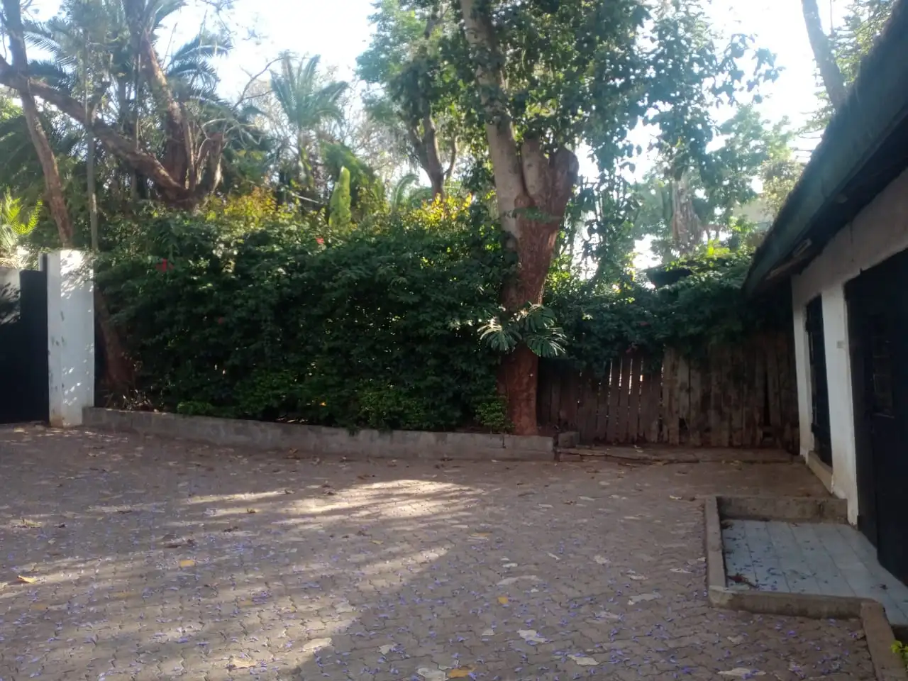 5 bedroom commercial house for rent in lavington  Image