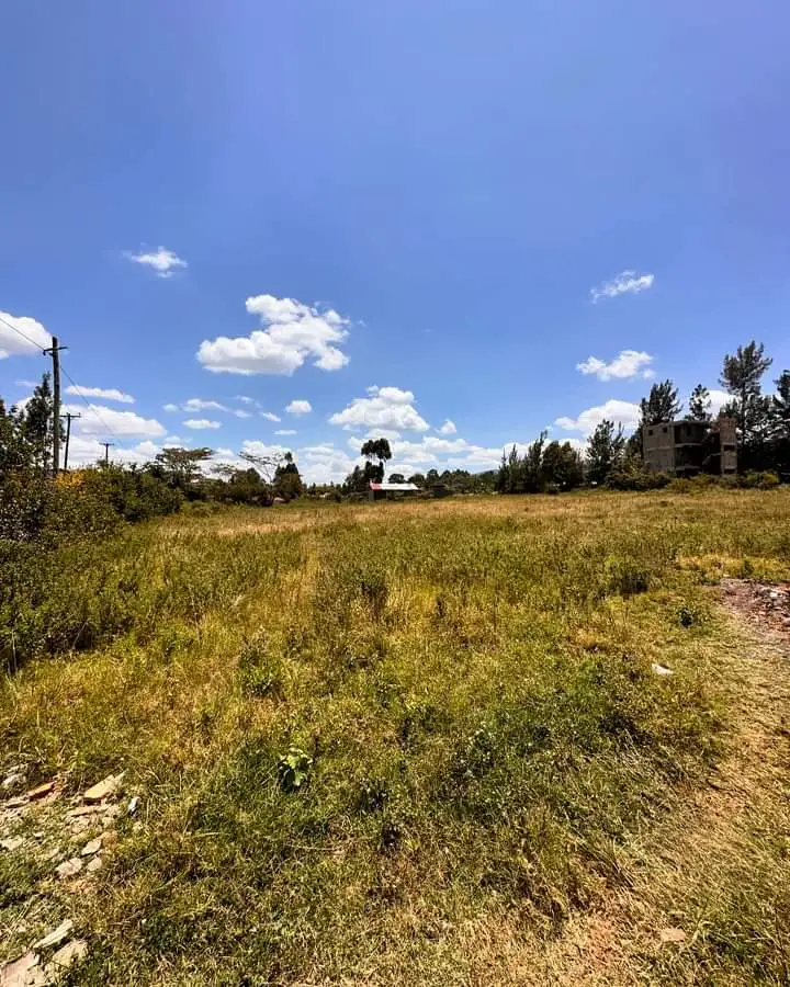 1 Acre Piece of Land For Sale in Ngong Image