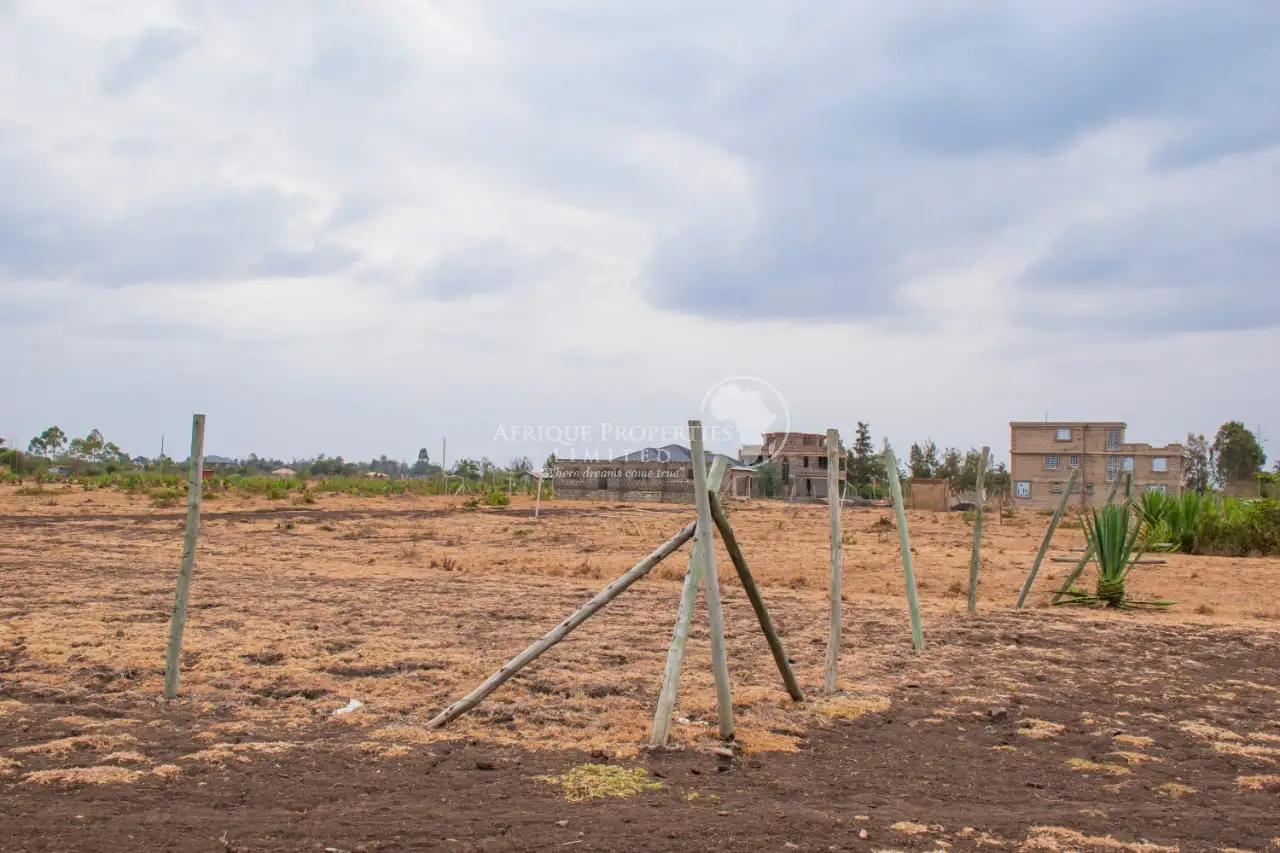 Prime 50*100 Plot For Sale in Juja Image