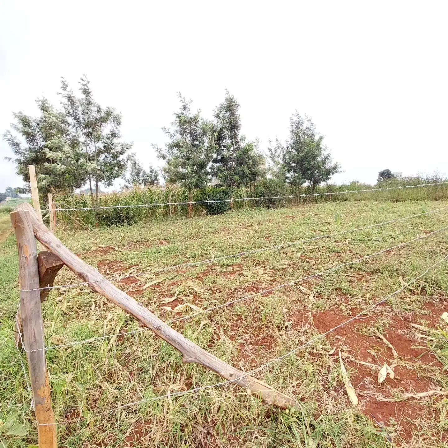 Plot for sale in Kiambu, kiora estate. Image