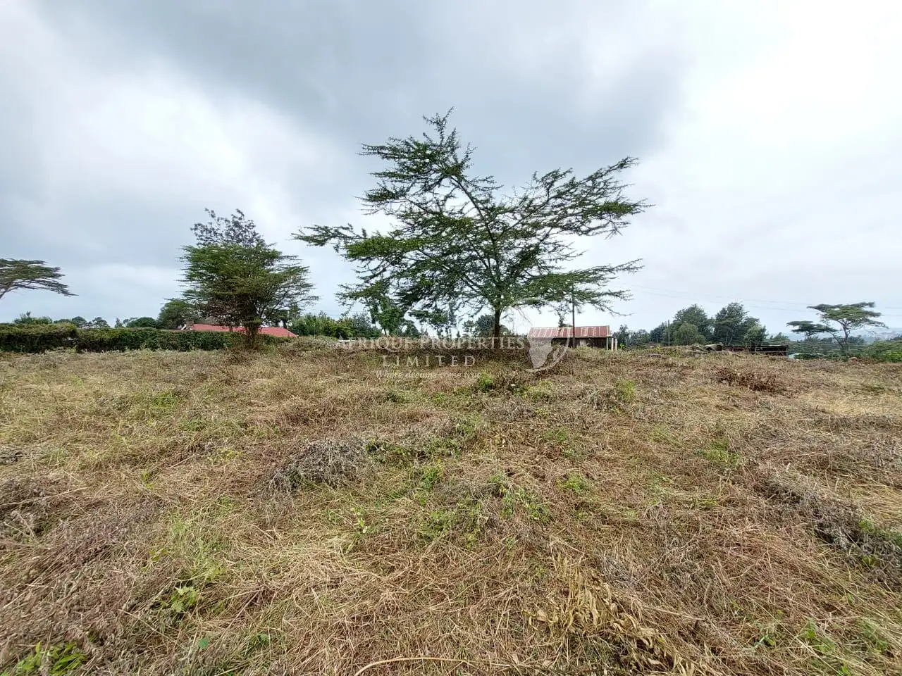 Plot for sale in Ngong Kibiko Image