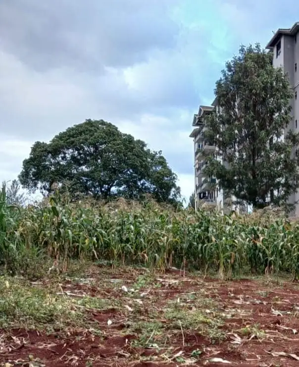 A half an acre prime land on Sale in Thindigua, kiambu road. Image