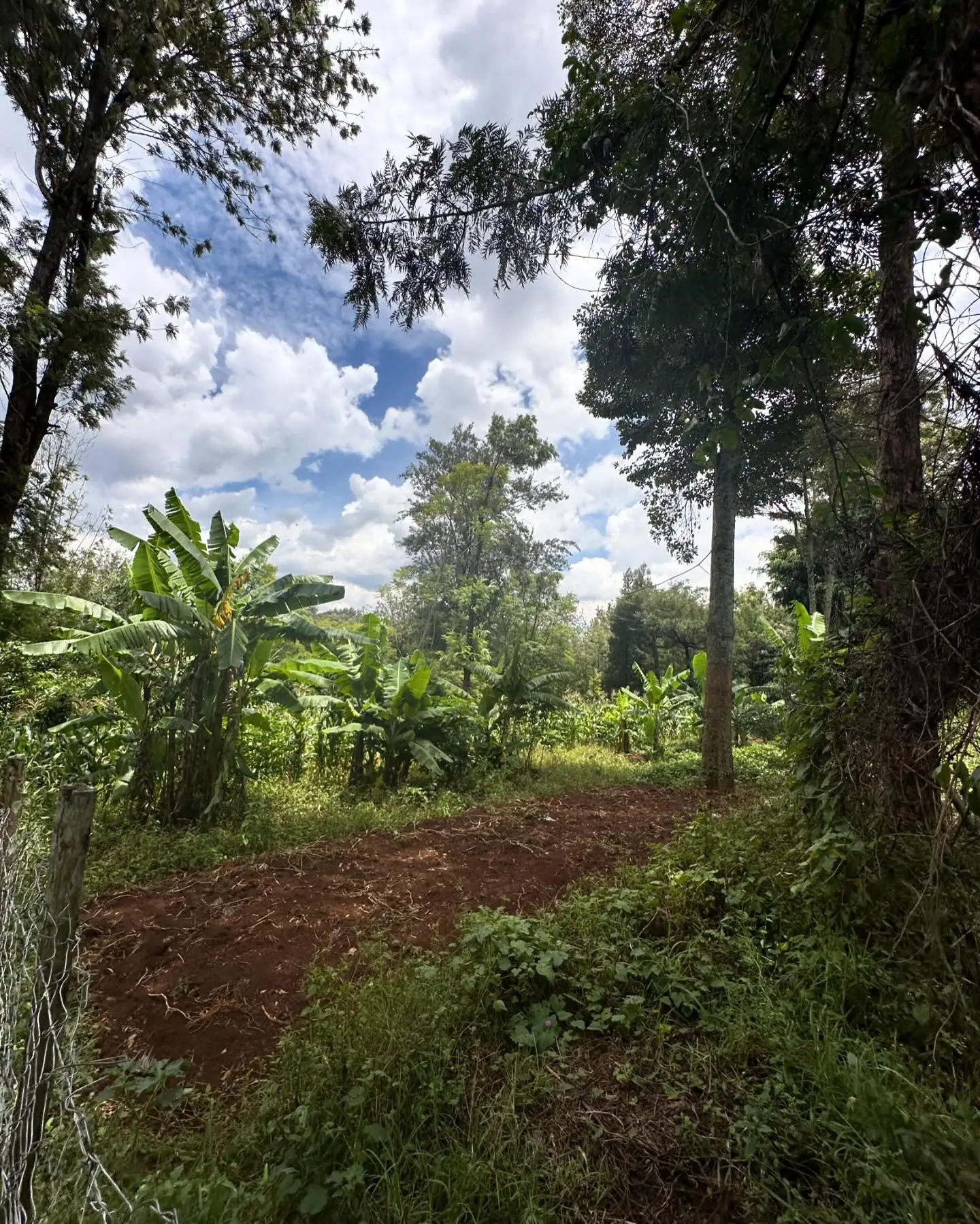 1/2 acre plot for sale in Karen Rhino Park Image