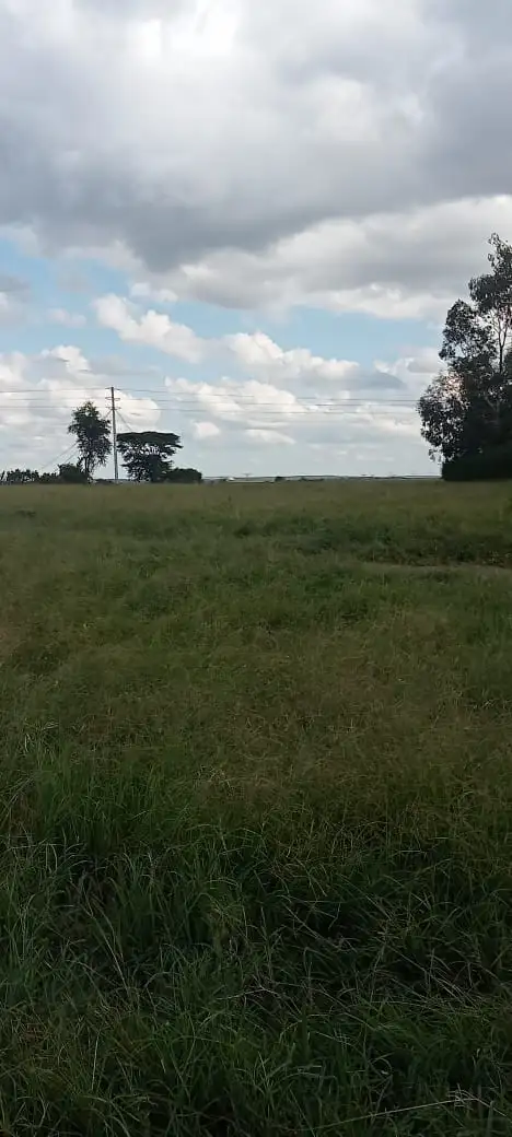 20 ACRES LAND FOR SALE IN ISINYA, KAJIADO COUNTY Image