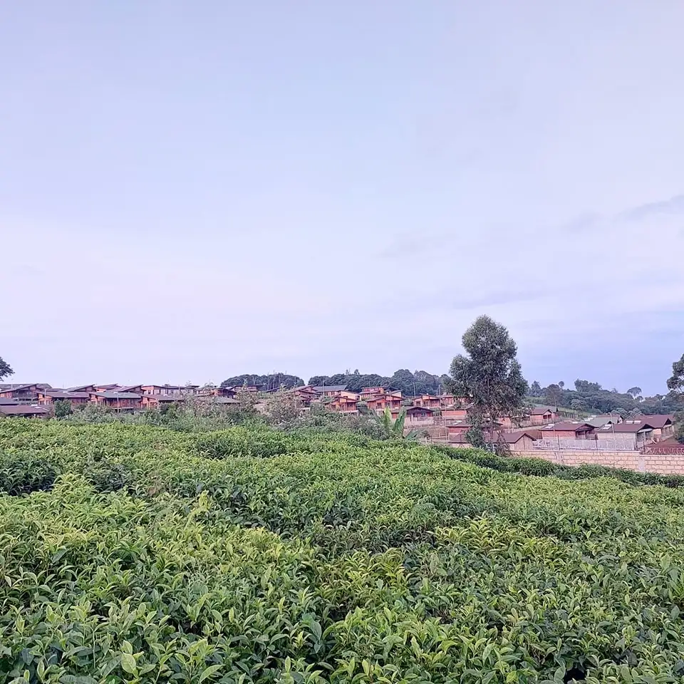 Prime 1/2 Acre and 1 Acre Residential Plots for Sale in Riara Ridge Tigoni Image