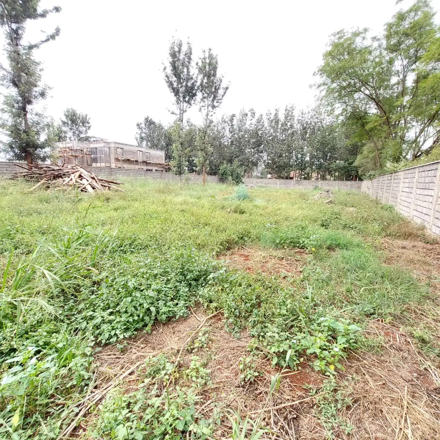 Half acre plot for sale in Kiukenda estate. Image