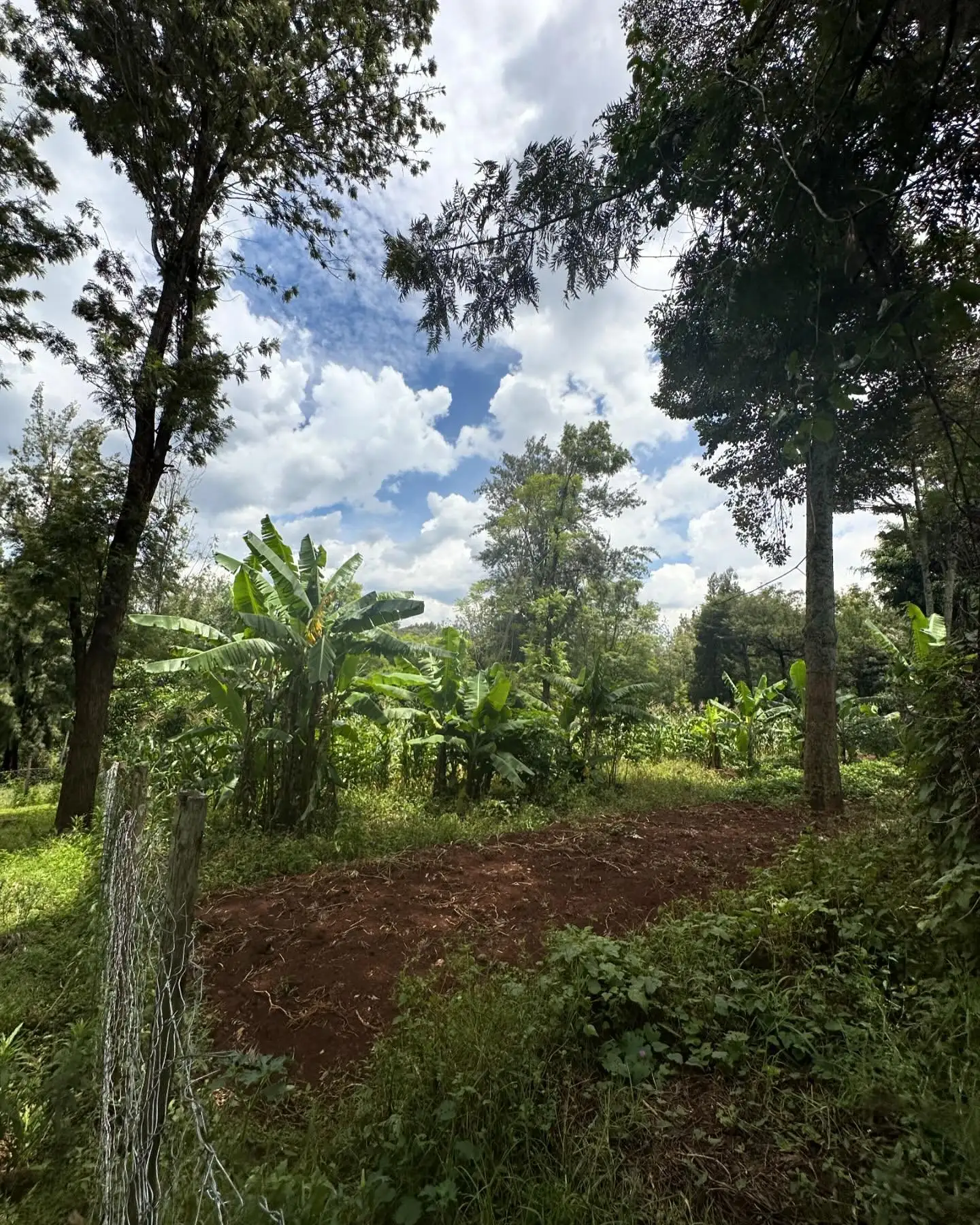 1/2 acre plot for sale in Karen Rhino Park Image