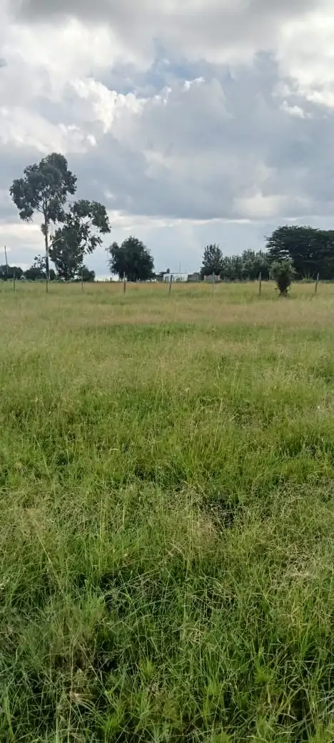 3 ACRES PRIME LAND FOR SALE IN KAJIADO TOWN Image