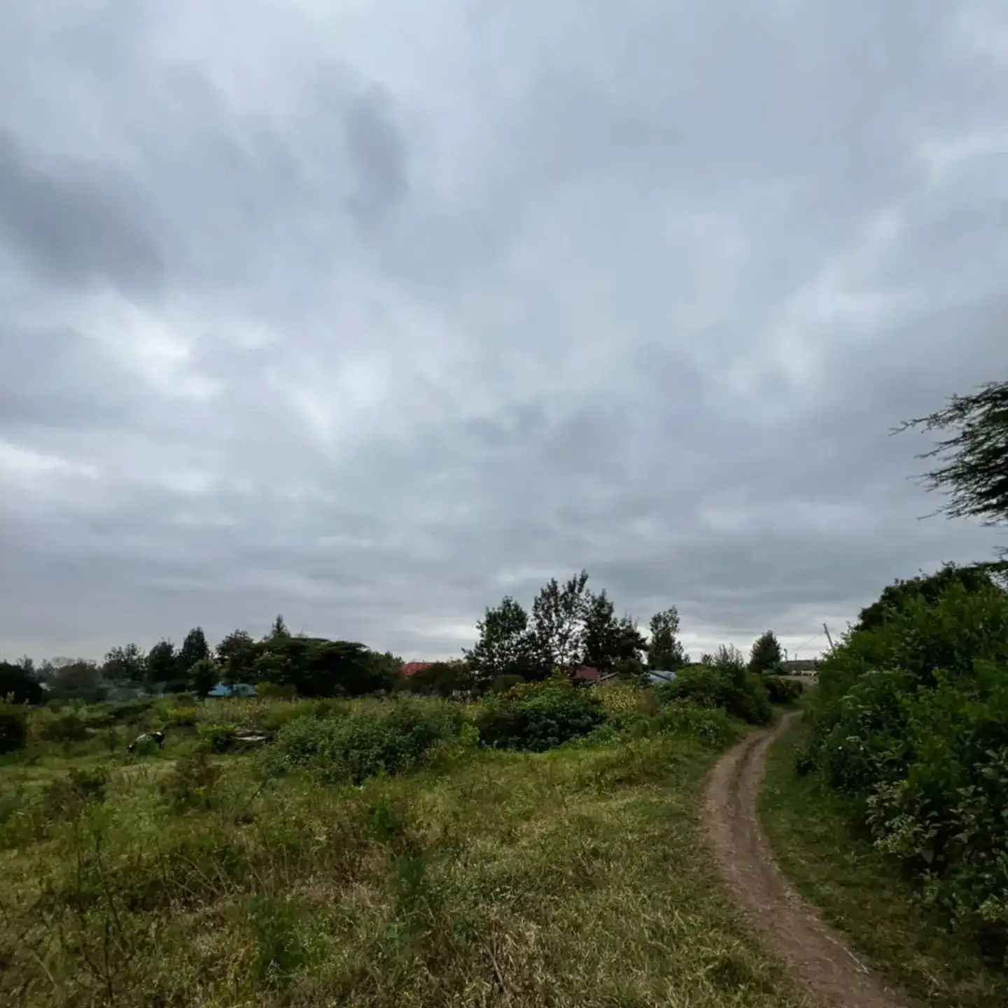 0.8 Acre Land For Sale in Ngong Olkeri Image