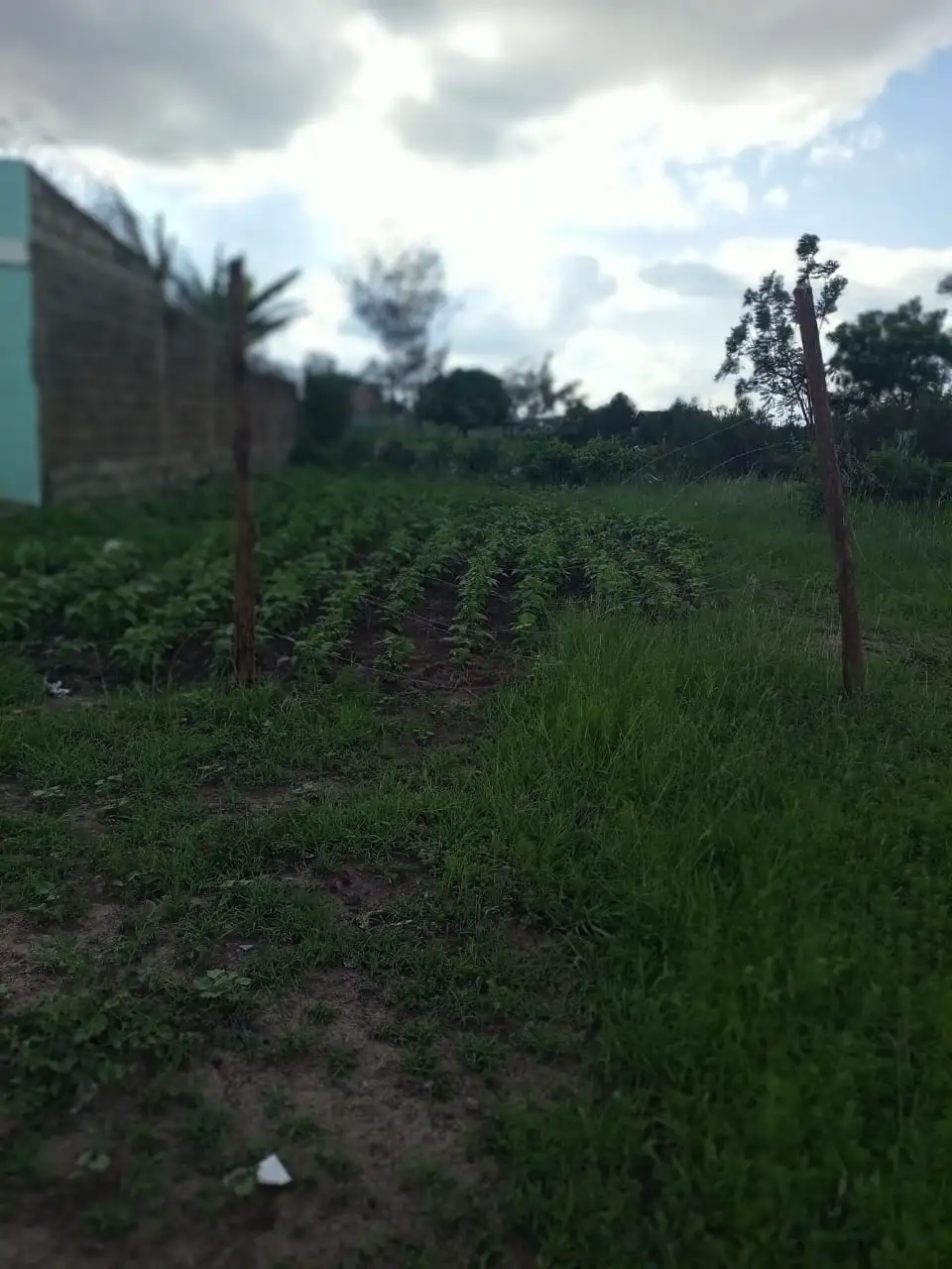 40*60 plot for sale  at Daracha Murera Ruiru. Image