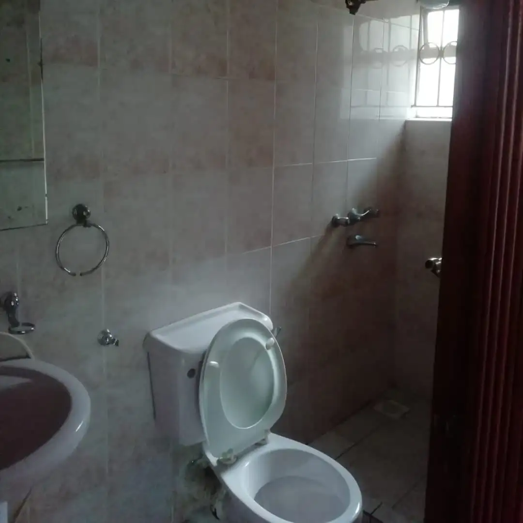 Commercial  / residential  5 bedroom maisonette plus sq to let in Lavington Image