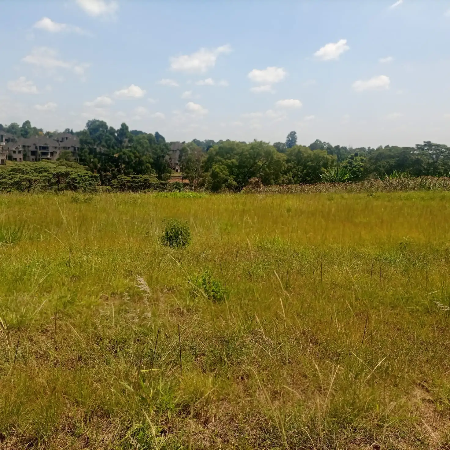 2 acres for long term lease in Rosslyn, Redhill Road. Image