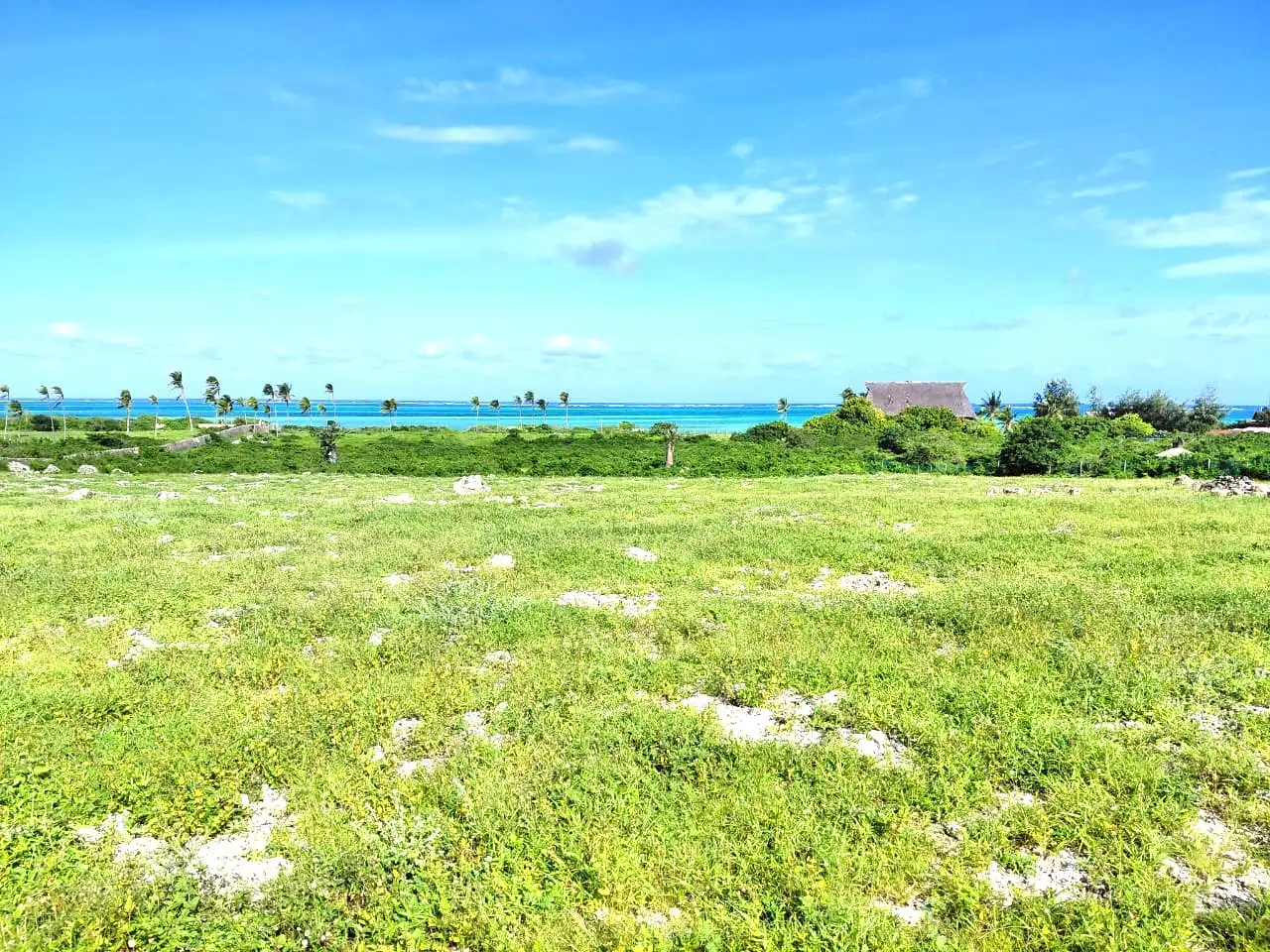 Watamu beach plots for sale Image