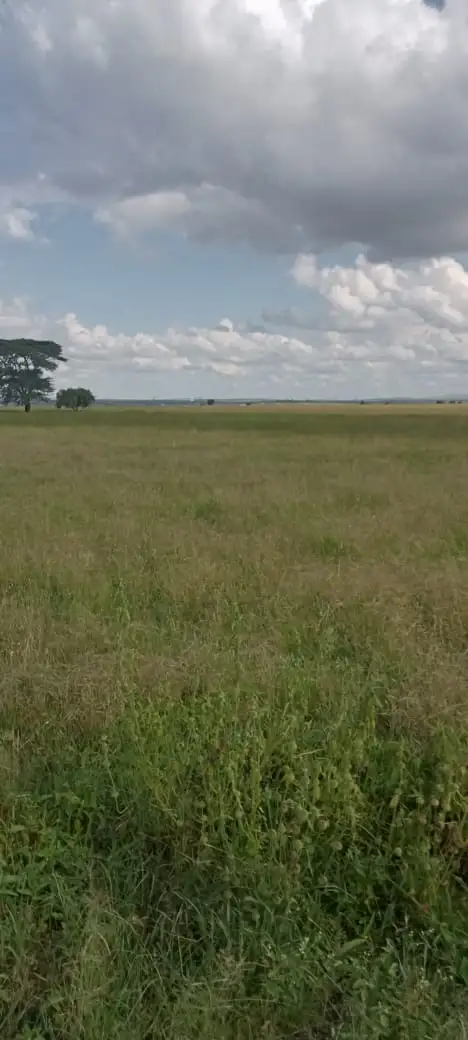 50 ACRES LAND FOR SALE IN BISIL, KAJIADO COUNTY Image