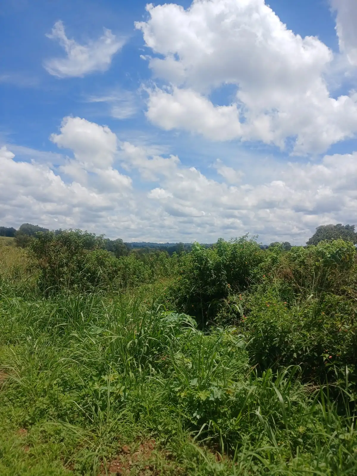 Plot For Sale in Maragua Murang'a. Image