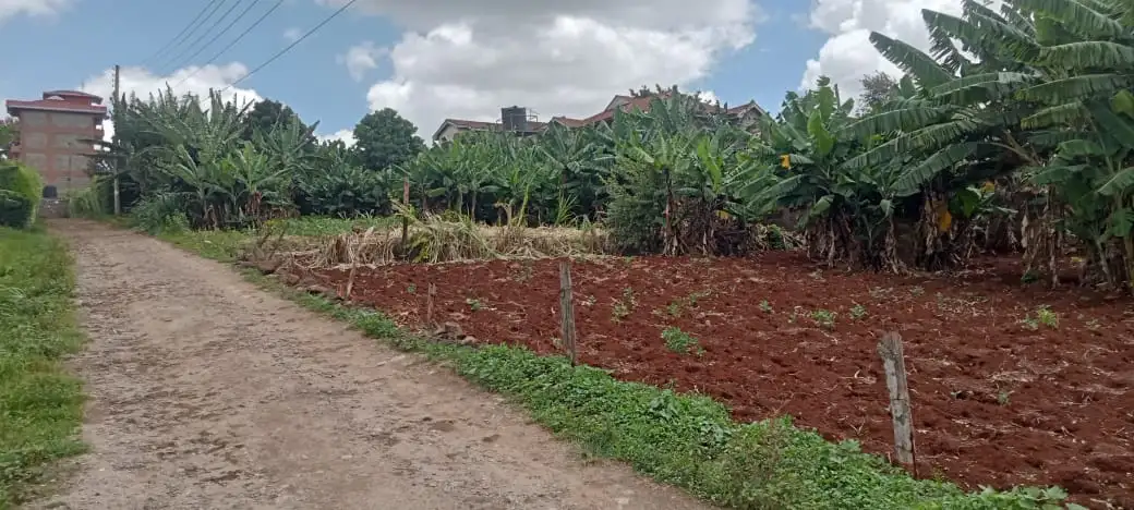 Prime 1/8 Acre Plot, Ruaka for Sale Image