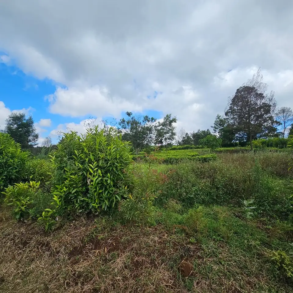 Prime Residential Plots for Sale in Tigoni, Limuru Image