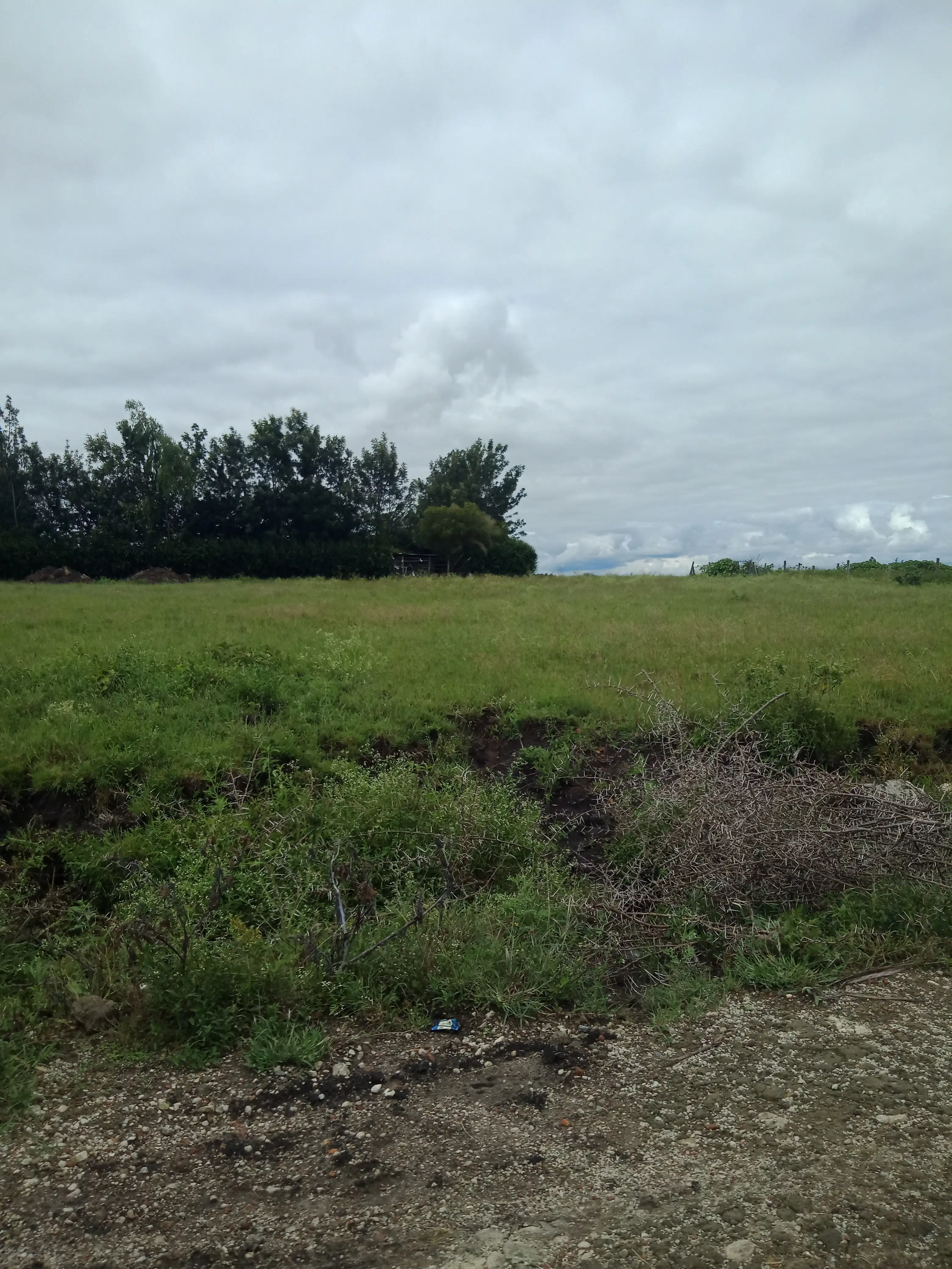 PLOT FOR SALE IN KITENGELA ACACIA Image