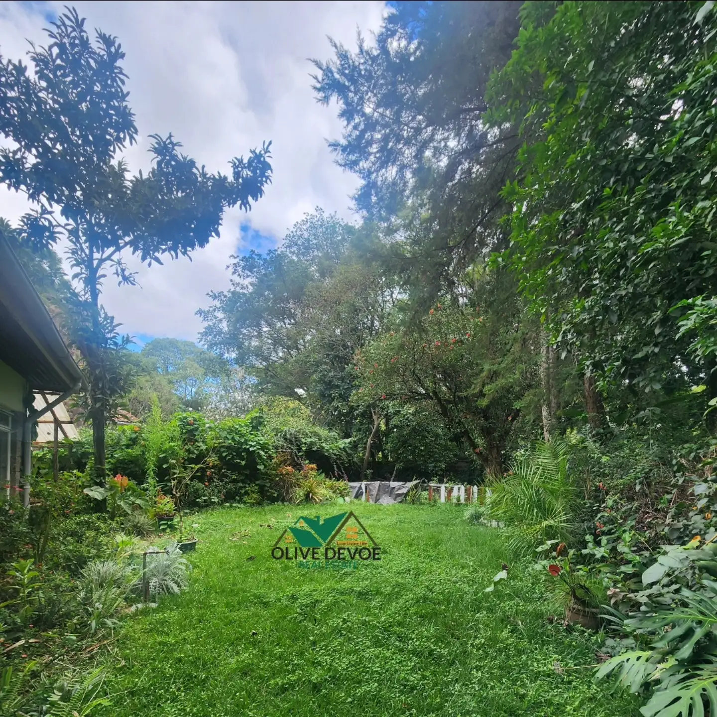 Homely 4 bedroom + Dsq massionate for rent in Lavington Image