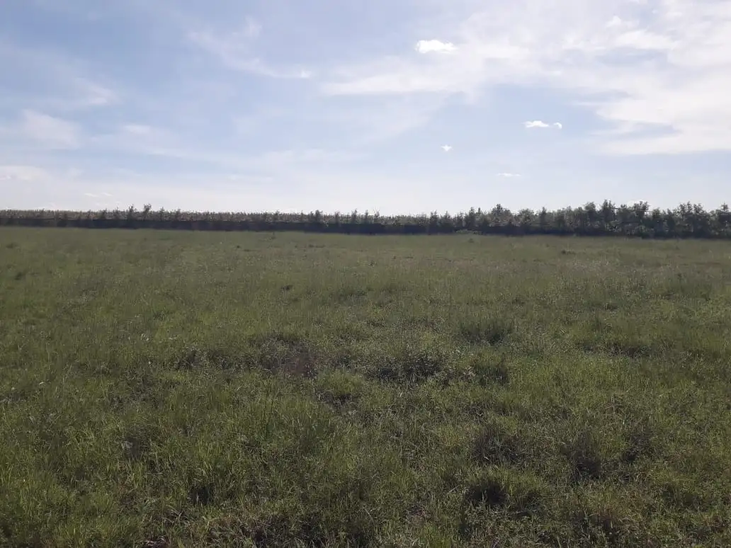 2 acres Land for Sale in Isinya, Kajiado County Image