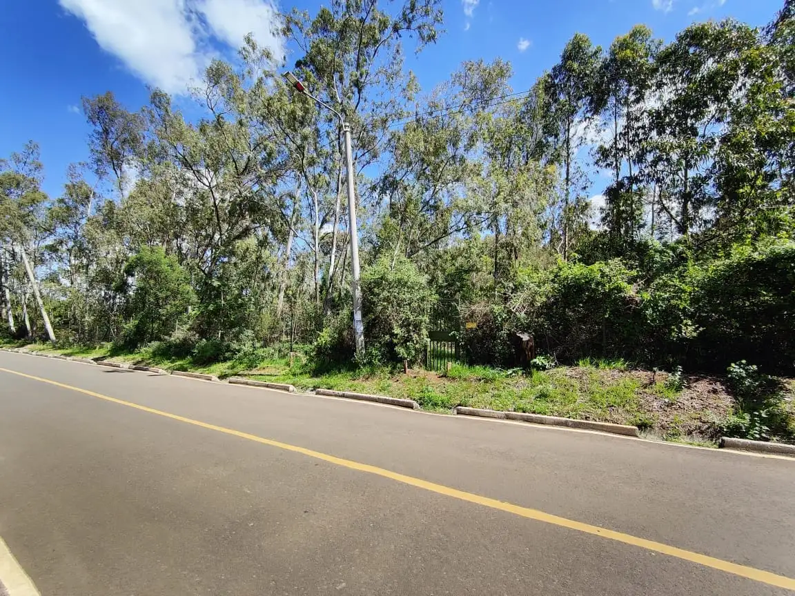 3.5 Acres For Sale in Karen Image