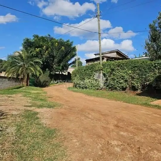 A Half An Acre Plot For Sale in Thome Image