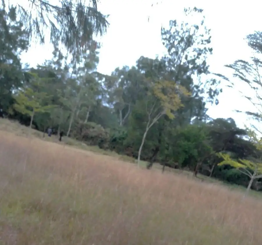 A Half An Acre For Sale In Karen Image