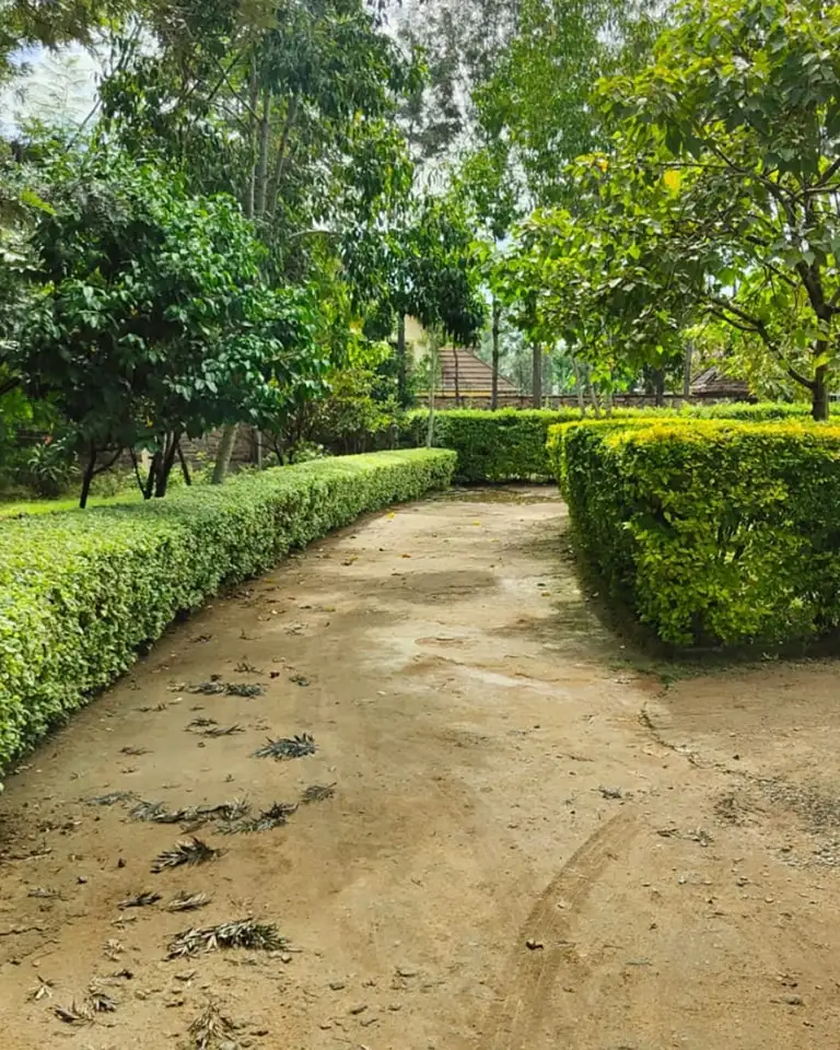 4 Bedroom Maisonette Plus DSQ For Sale in Karen Image
