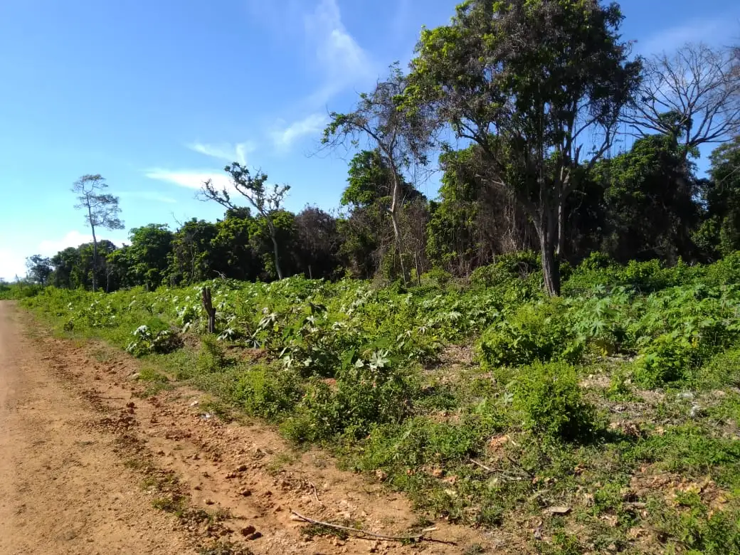 5 acre land for sale in Diani Galu Kinondo area Image