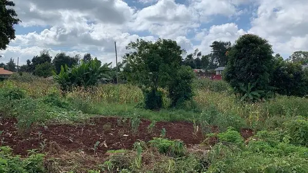 Plot For Sale in Lower Kabete Image