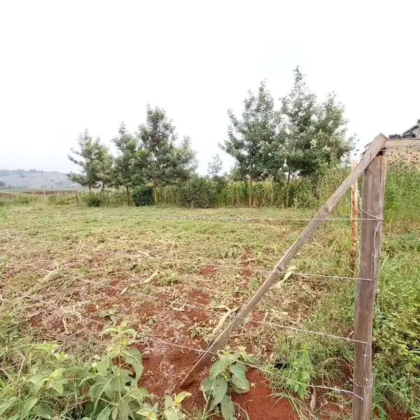 Plot for sale in Kiambu, kiora estate. Image