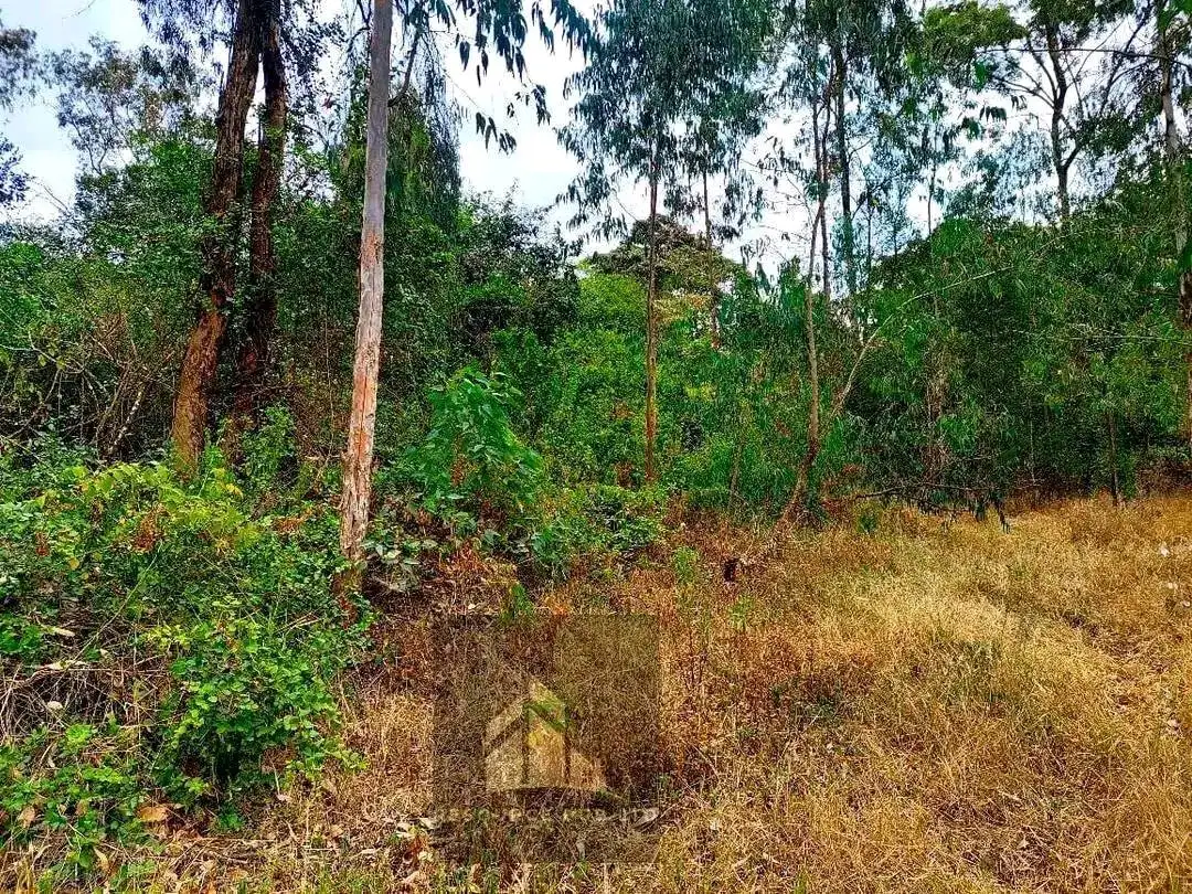 3.5 acres of land for sale in Karen Image