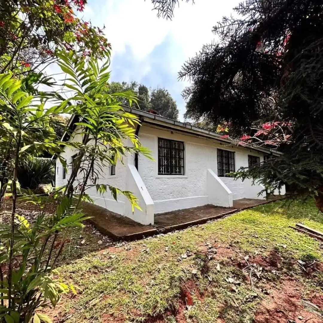 3 bedroom rustic bungalow to let in Karen Image