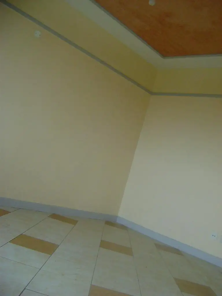 FOR SALE: An Apartment Block in Ruaka Image
