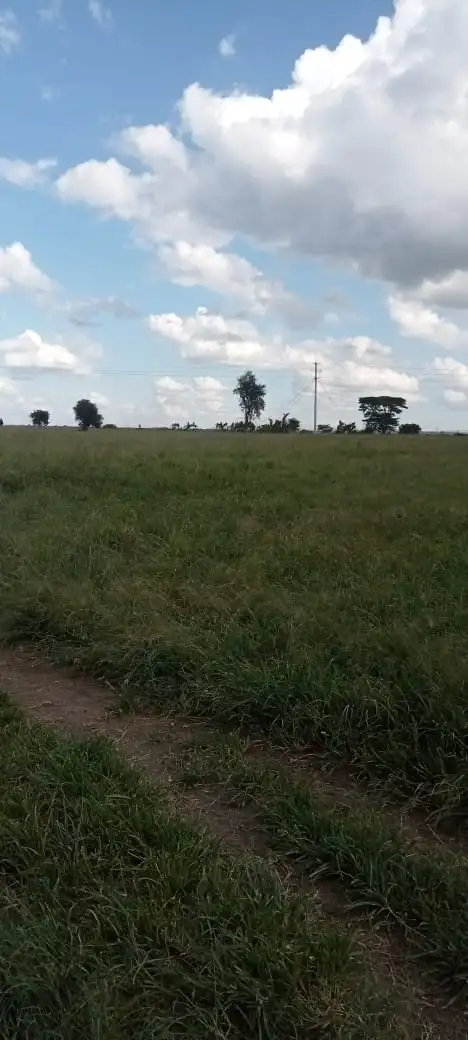 15 ACRES LAND FOR SALE IN NAMANGA, KAJIADO COUNTY Image