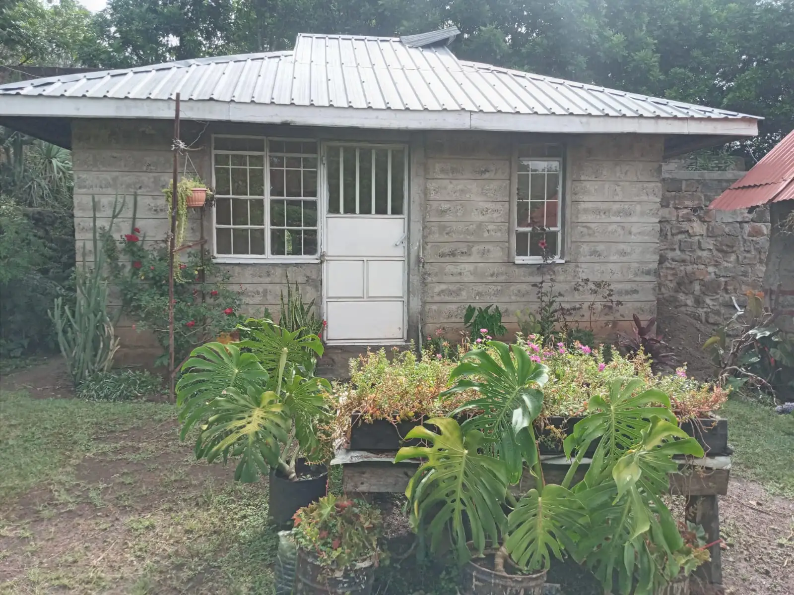 Cozy One Bedroom Cottage Image