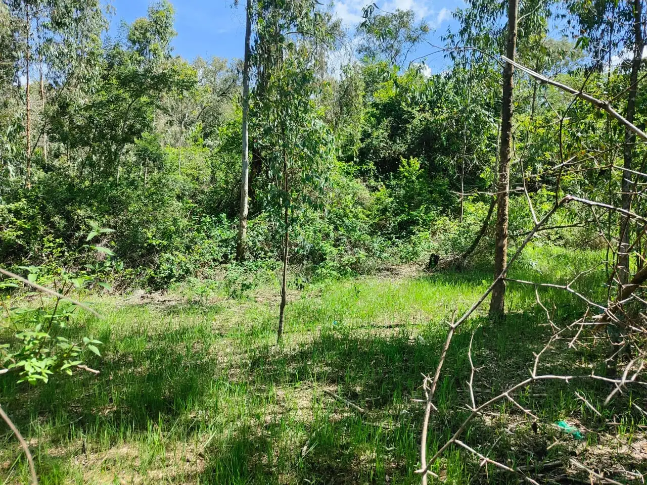 3.5 Acres For Sale in Karen Image