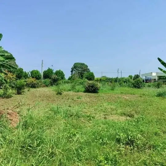 A Quater Acre Plot For Sale in Ruiru Image