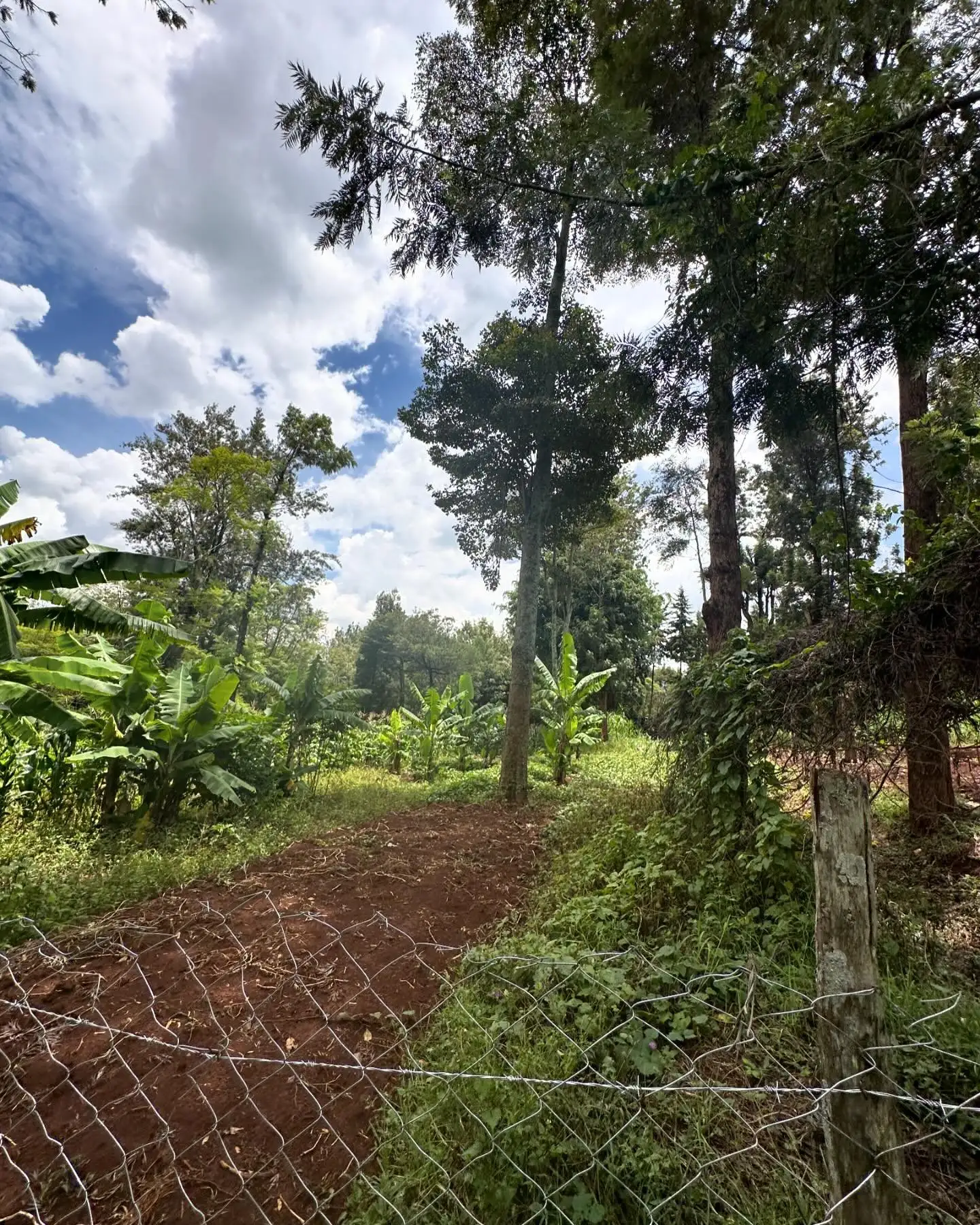 1/2 acre plot for sale in Karen Rhino Park Image