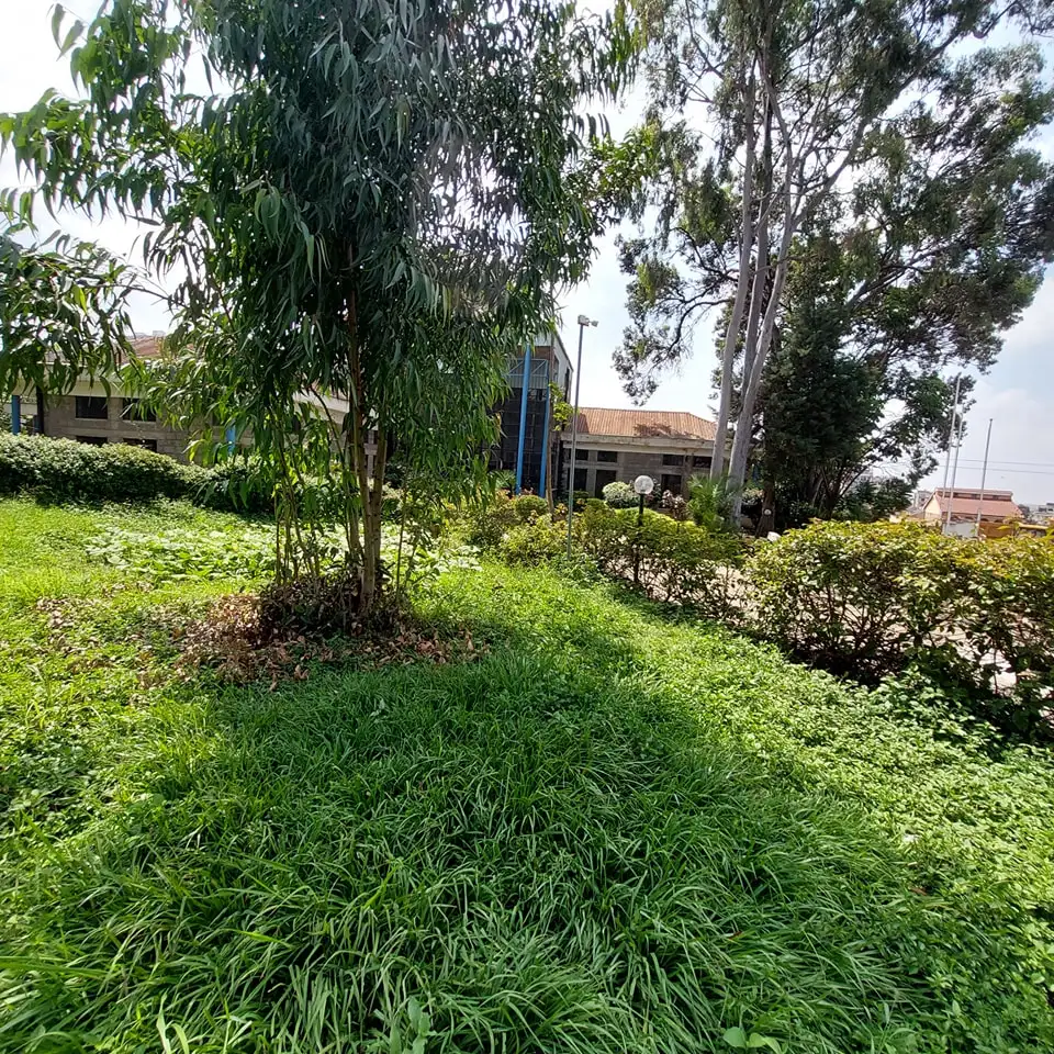 Prime and Commercial 1 Acre Plot For Sale in Kasarani Image