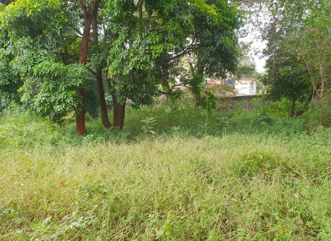 Prime 5 Acres of Land For Sale in Runda, Paradise Image