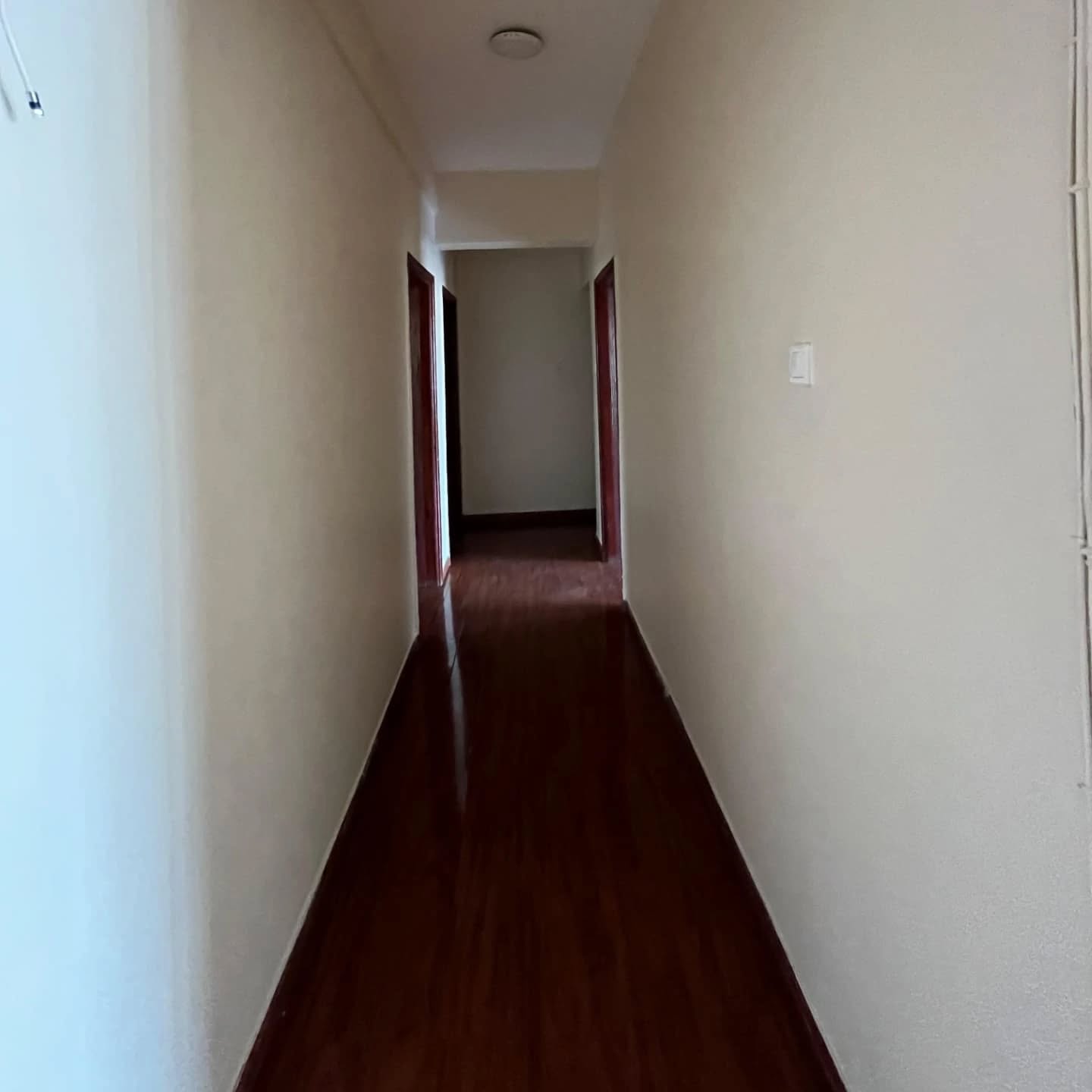 Well-Maintained 3 Bedroom Apartment Plus DSQ for Rent in Lavington Image